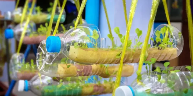 Kreasi Daur Ulang Sampah Plastik Yang Mudah Dibuat